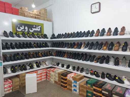 عکس کفش وین