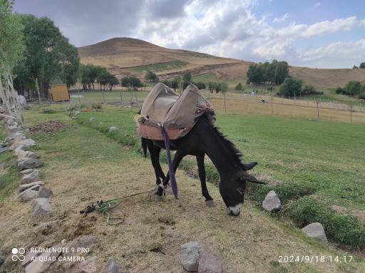 عکس آبگرم لیقوان