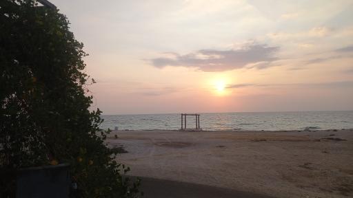 رستوران شاندیز سرسبز