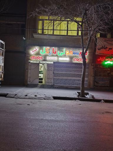 عکس سیسمونی نازگل