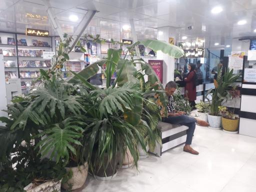 عکس کافی نت و پیشخوان دولت طورسینا 