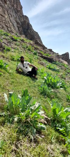 عکس دره آل