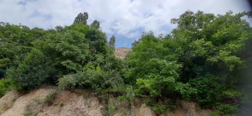 عکس دره آل