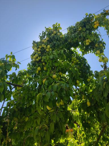 عکس دره آل