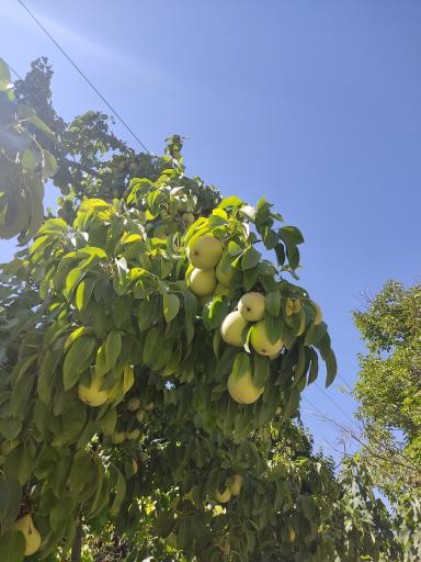 عکس دره آل