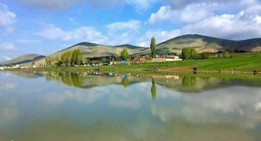 عکس هریس