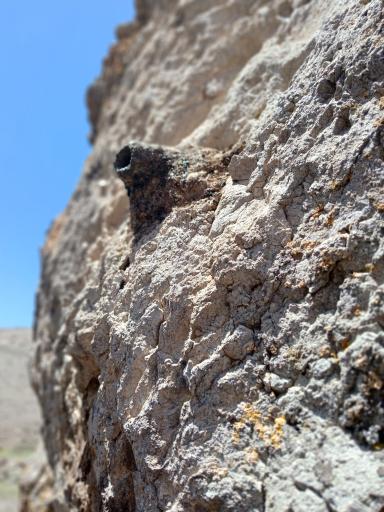 عکس هریس