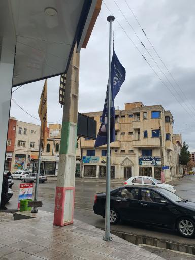 عکس کارشناسی و تشخیص رنگ خودرو شکری