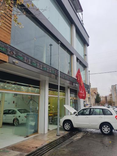 عکس کارشناسی خودرو شکری