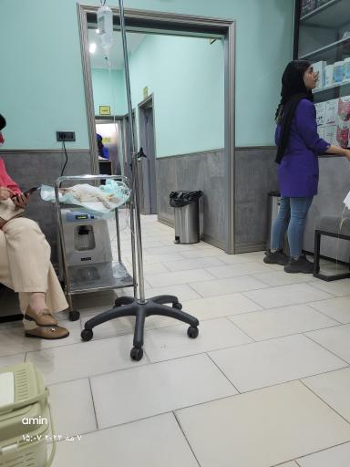 عکس کلینیک دامپزشکی رویال