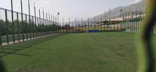 عکس زمین چمن