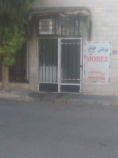 عکس پیرایش مورز