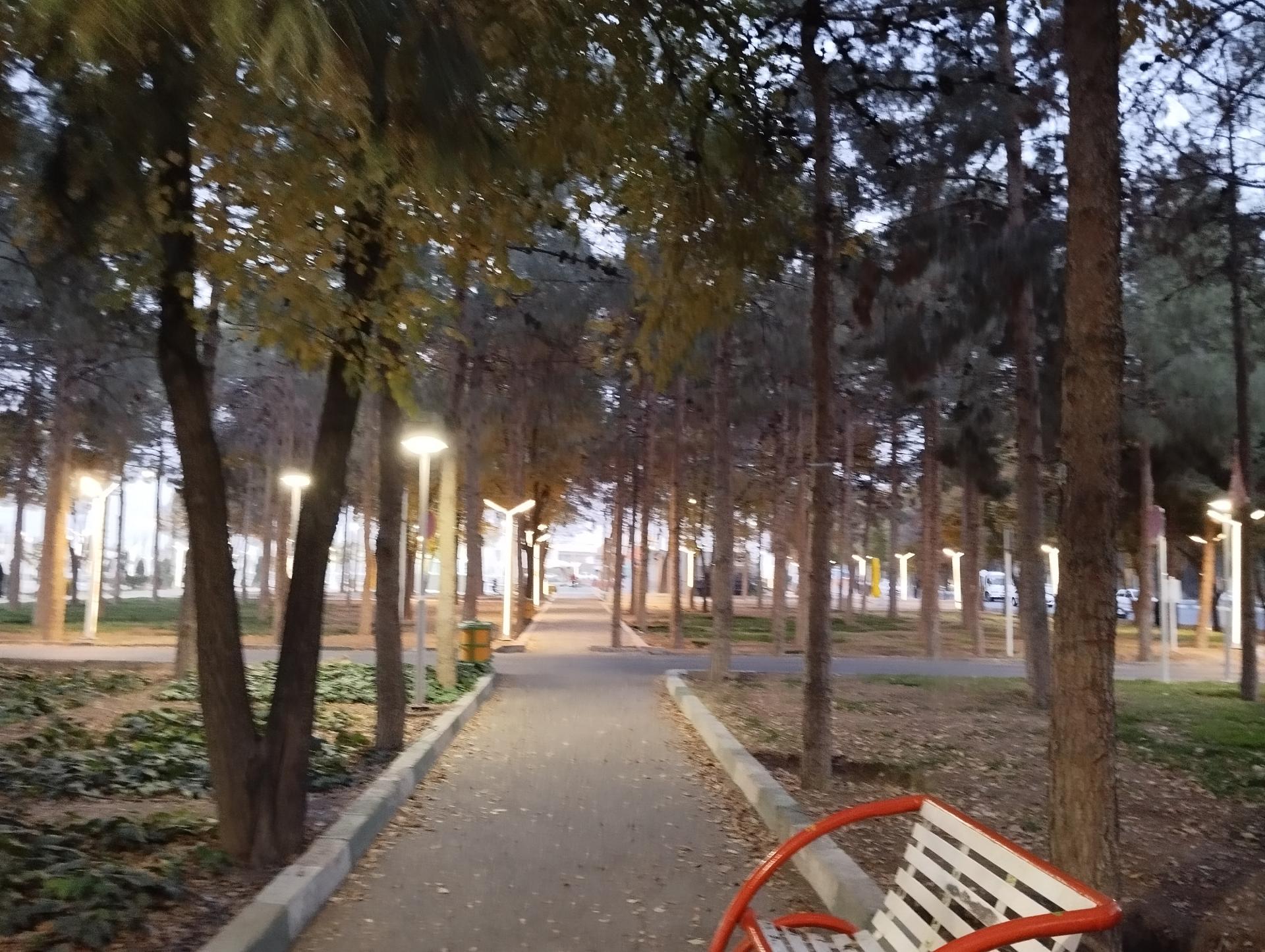 عکس بوستان ارشاد