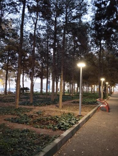 عکس بوستان ارشاد