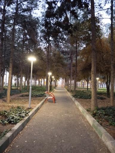 عکس بوستان ارشاد