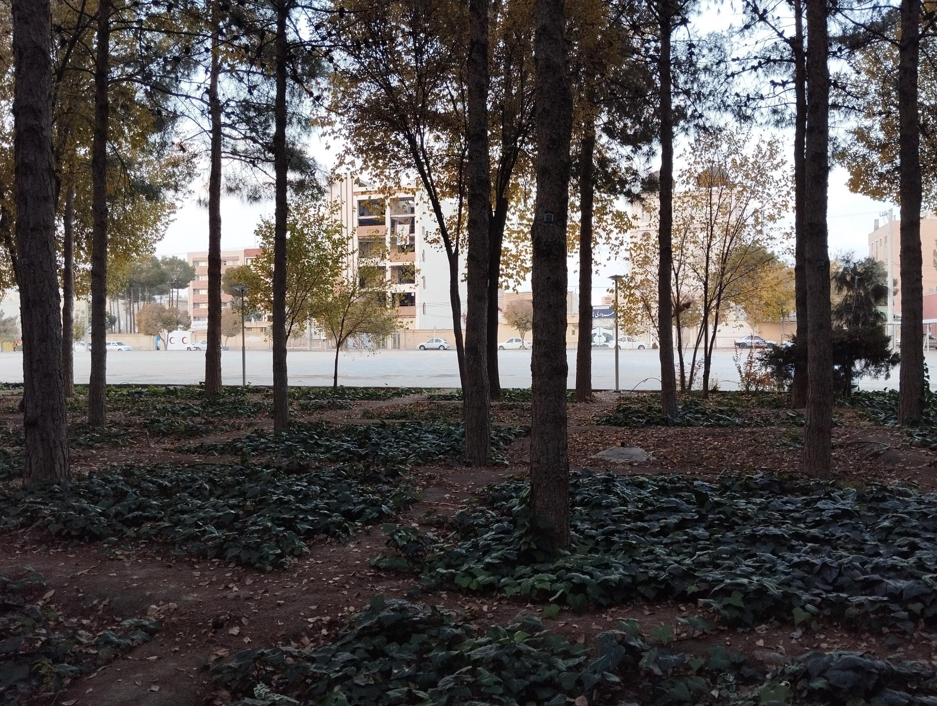 عکس بوستان ارشاد