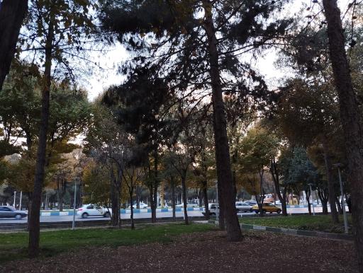 عکس بوستان ارشاد