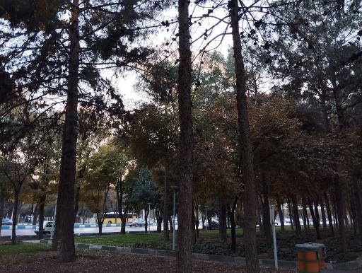 عکس بوستان ارشاد