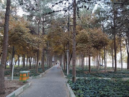 عکس بوستان ارشاد