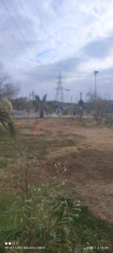 عکس بوستان کوزه 