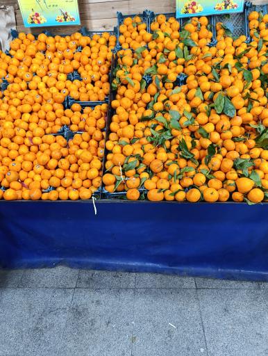 عکس حاجی ارزونی بزرگ کرج نو