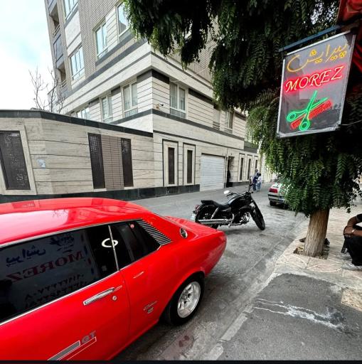 عکس پیرایش مورز