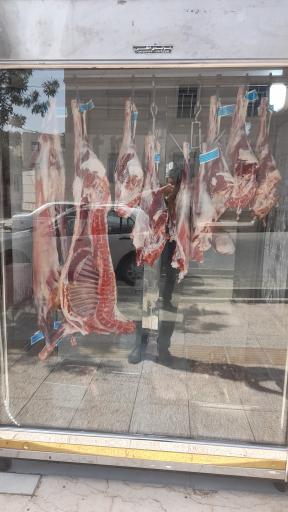 عکس پروتئین +ویهان