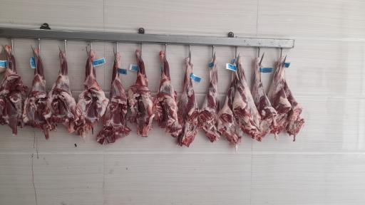 عکس پروتئین +ویهان