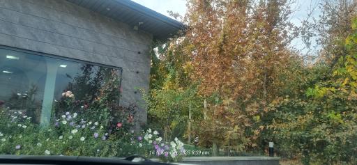 عکس انبار کاشی فیروزه