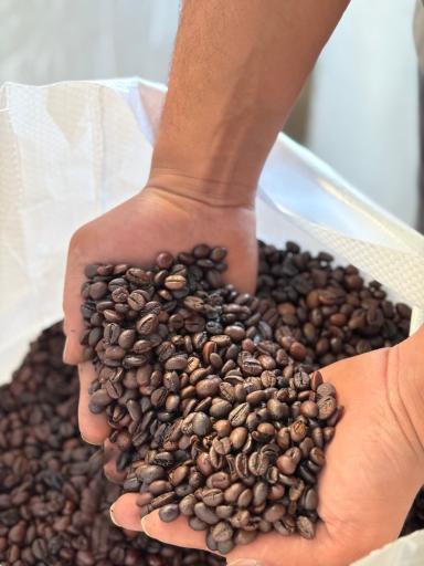 عکس برشته کاری رگنار