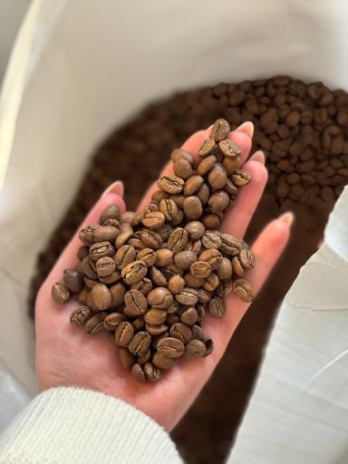 عکس برشته کاری رگنار