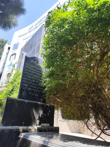 عکس آرامگاه عزّت الملوک کاوسی