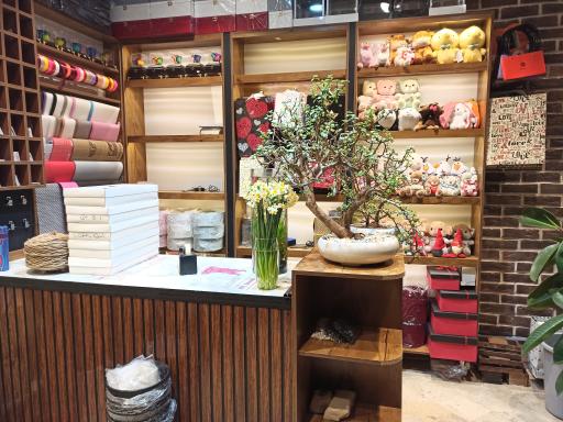 عکس گل بابونه