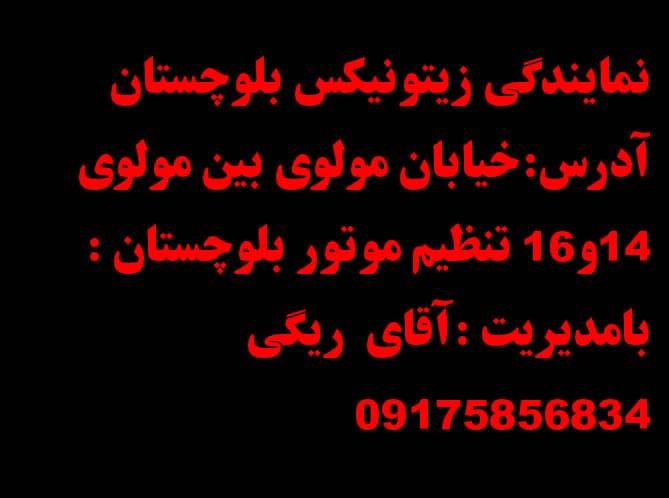 عکس نمایندگی چی پس اس زیتونیکس زیتونیکس