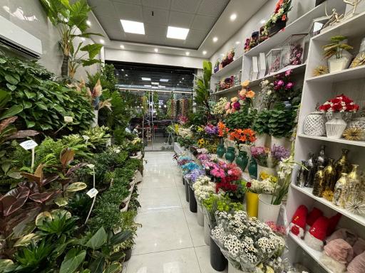 عکس دنیای گل