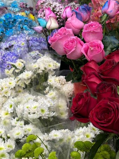 عکس دنیای گل