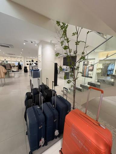 عکس فروشگاه جین وست