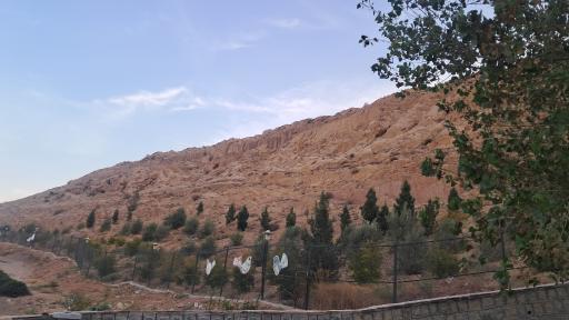 عکس باغ پرندگان قم