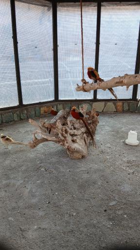 عکس باغ پرندگان قم