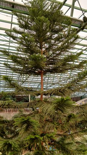 عکس باغ پرندگان قم