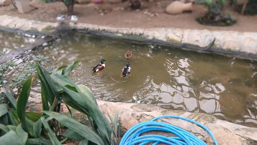 عکس باغ پرندگان قم