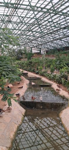 عکس باغ پرندگان قم