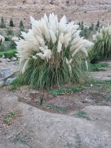 عکس باغ پرندگان قم
