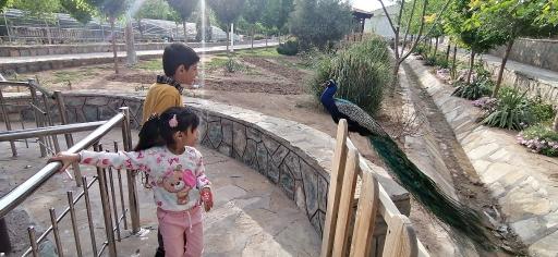 عکس باغ پرندگان قم