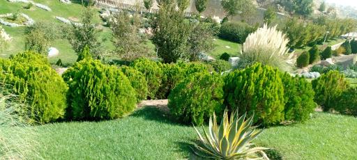 عکس باغ پرندگان قم