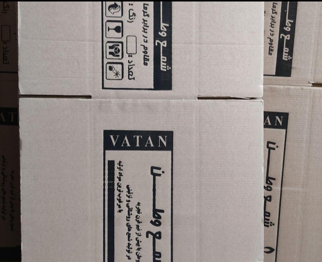 عکس کارتن سازی ولیعصر 