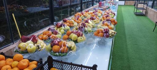 عکس باغ و عمارت ونک