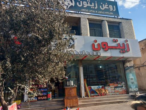 عکس زیتون سرای دوقولو ها