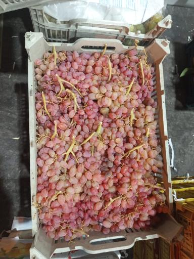 عکس سوپر میوه بهار