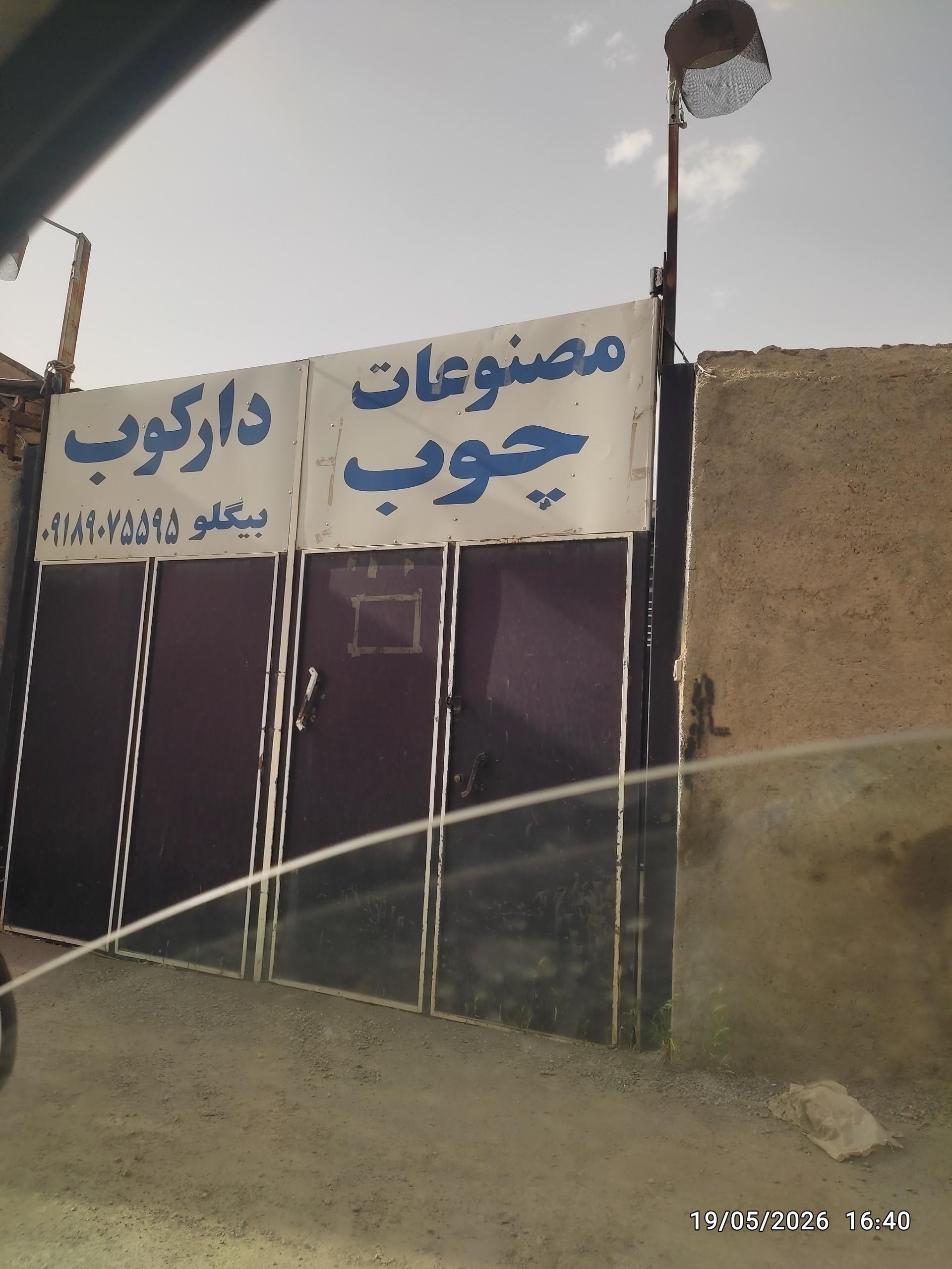 عکس چوب دارکوب 